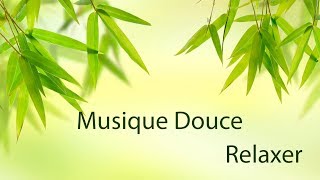 Musique Douce et Nature Pour Relaxer et Dormir [upl. by Cherie]