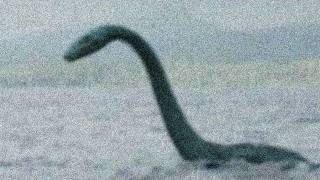 Ogopogo Spotted Has Canadas Version of the Loch Ness Monster Been Caught on Video [upl. by Raual]