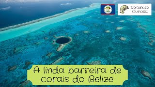 A linda barreira de corais do Belize [upl. by Rabbaj]