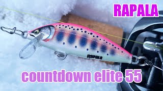 【Rapala Countdown Elite55】雪の渓流でカウントダウンエリート55でニジマス釣る水中アクション有り [upl. by Gerrit760]