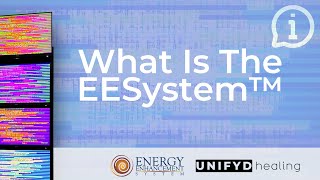 What Is The EESystem [upl. by Attener]