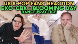 EXOCBX  Blooming Day Dance Practice  UK KPop Fans Reaction [upl. by Akimihs]