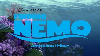 Finding Nemo 3D  Now Playing in Theaters [upl. by Godfrey923]