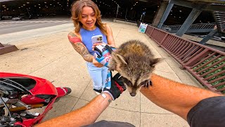 Riding With My RACCOON In DOWNTOWN Chicago [upl. by Sternlight]