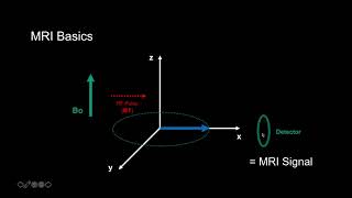 Introduction to MRI Basics 1  How we get Signal [upl. by Nylcoj270]