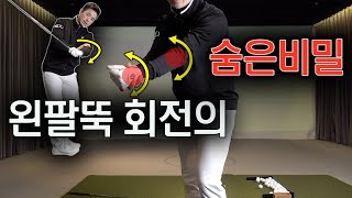 골프레슨 왼팔회전의 오해와 이해  FlowGolf  최대룡프로 [upl. by Argyle]