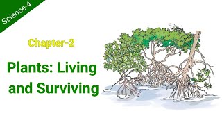 Chapter2 Plants Living and Surviving class4 science Pearls [upl. by Brigitta217]