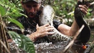 Eaten Alive Sneak Peek  Sun Dec 7 98c on Discovery [upl. by Schou]