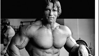 Arnold Schwarzenegger Training Workout Motivation [upl. by Aloap]