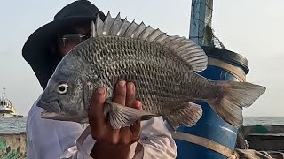 mangrove fishing Ibharim hayderi to phitti creek part 2 [upl. by Laurene]