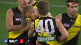 Qualifying Final 2  Geelong v Richmond Highlights [upl. by Robson266]