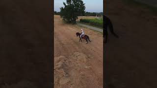 dronevideo horseriding equitazione dji djifpv [upl. by Nedyah]