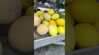 Farmers market shorts farmersmarket organic fruit fyp viral weekendvibes summer fleamarket [upl. by Ahsemad990]