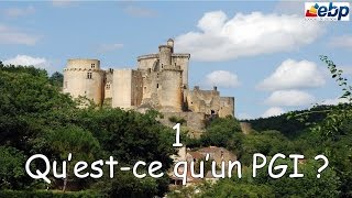 PGI EBP  Leçon 1 Quest ce quun PGI  Progiciel de Gestion Intégré [upl. by Ros]