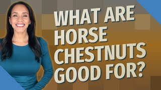 What are horse chestnuts good for [upl. by Tyree521]