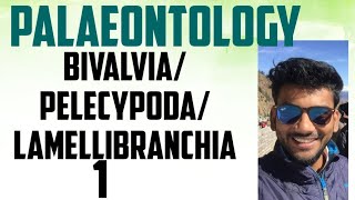 palaeontology lecture series bivalvia pelecyopoda lamellibranchia part12 [upl. by Nunnery]