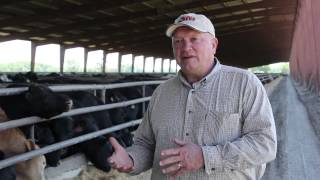 Black Gold Ranch and Feedlot  Steve Foglesong [upl. by Otrebogir]