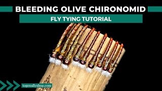 Bleeding Olive Chironomid  Fly Tying Tutorial [upl. by Hilary]