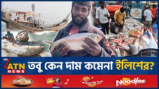 ইলিশের দাম বেশি থাকার নেপথ্য কারণ কী Hilsa Fish Hilsa High Price Reason  Not Export Hilsa  Puja [upl. by Asamot134]