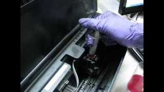 Epson L100 Head Cleaning [upl. by Ahsead]