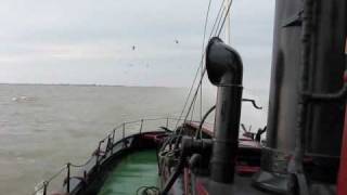 Stoomsleepboot Hugo met windkracht 7 op het IJsselmeer [upl. by Pembroke851]