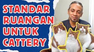 Ruangan Untuk Cattery Apa Saja Yang Harus Disiapkan [upl. by Emmaline]