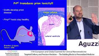 Prions Deadly Self‐replicating Nanomachines [upl. by Lenehc960]