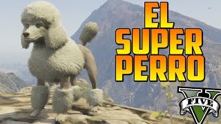 EL SÚPER PERRO  MISTERIOS GTA 5 PS4  EASTER EGG GTA 5 PS4  Localización peyotes 327 [upl. by Jilly]