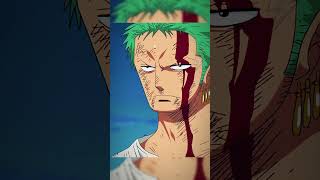 Zoro toma a dor de Luffy [upl. by Ferneau889]