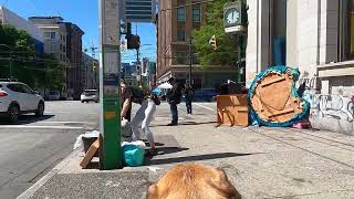 Poverty Pimps Herding People on Hard Drugs to Euthanization Zone Many Die on Filthy Hastings DTES☹️ [upl. by Attennot]