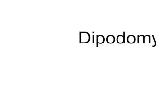 How to pronounce Dipodomys [upl. by Lupita349]