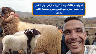 الحولية ب900درهم الثمن الحقيقي ديال الغنم من ارخص سوق في المغرب سوق تاكلفت إقليم أزيلال [upl. by Hawker]