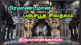 Thiruvanaikaval Jambukeshwara Temple  திருவானைக்காவல் ஜம்புகேஸ்வரர் கோவில் [upl. by Aneen]