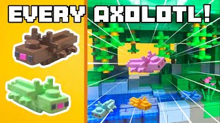 I collected Every Minecraft Axolotl in LEGO [upl. by Kaitlin]