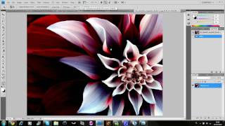 Photoshop  Fractalius PlugIn [upl. by Ahsirtak554]