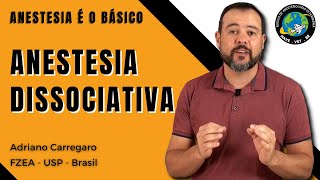 1⃣1⃣ ANESTESIA DISSOCIATIVA  Anestesia é o Básico 11 [upl. by Annoyed]