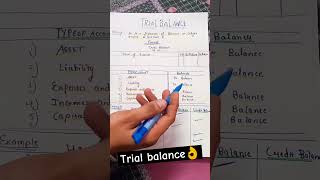 Trial balance class 11 practical problems  Meaning of trial balance  class11accounts [upl. by Ena]