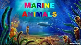 Famous Marine Animals  Learn the names of Marine Lives  Preschool Learning [upl. by Philan170]