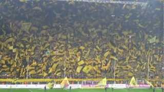 BVB Hymne Live einfach Geil [upl. by Cutter918]