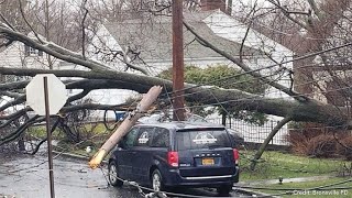 Scenes Of Storm Damage Downed Trees Around Bronxville [upl. by Naujed]