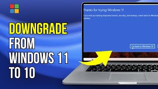 How to go Back to Windows 10 from Windows 11 Before and After 10 days New Trick [upl. by Nhor]