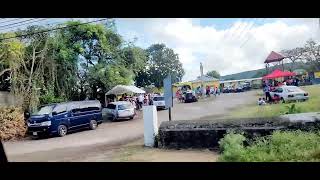 Voting at Boscobel Primary in St Mary Jamaica 🇯🇲 22624 [upl. by Aserat]