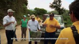 VIDEO PROYECTO BIODIVERSIDAD EN EL SECTOR CAFETERO EN COLOMBIA  Valle del Cauca [upl. by Lenoj898]