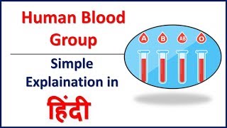 Human Blood Groups in Hindi  Human Anatomy and Physiology  Bhushan Science [upl. by Melinde]