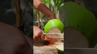 coolest style of cutting coconut  Asmr [upl. by Yattirb]