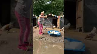 Eenden water douche gevenstichting Zorgeloos Dierenleven [upl. by Sileray424]