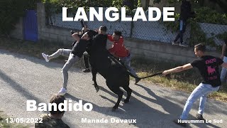 LANGLADEBandido13052022Devaux [upl. by Delbert]