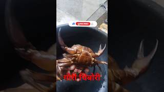 गोरी चिंबोरी  Gori Chibori 🦀🦀🦀🦀 [upl. by Kinsman]