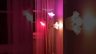 Setting up my flower lamp unboxing lighting homedecor floorlamp flowerlamp cozylights [upl. by Eiramoj558]