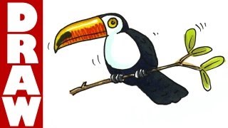 How to draw a Toucan [upl. by Aysa155]